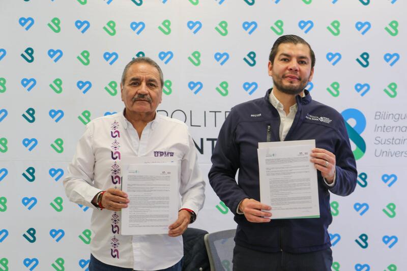 Borrador automático