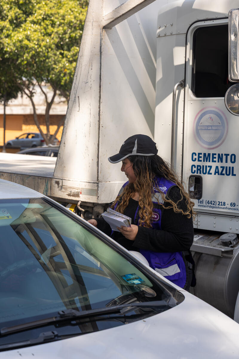 Borrador automático