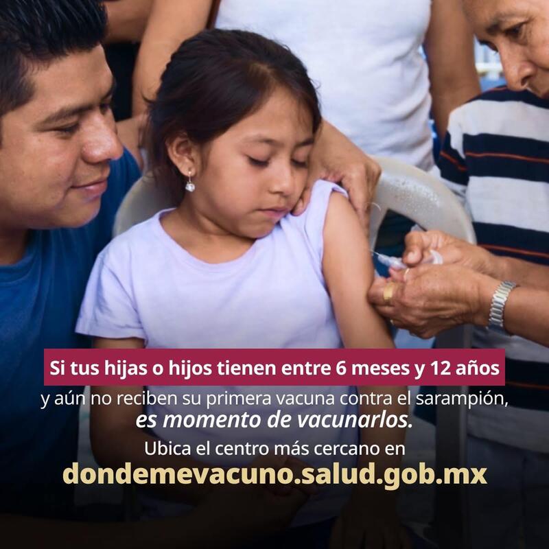 Borrador automático