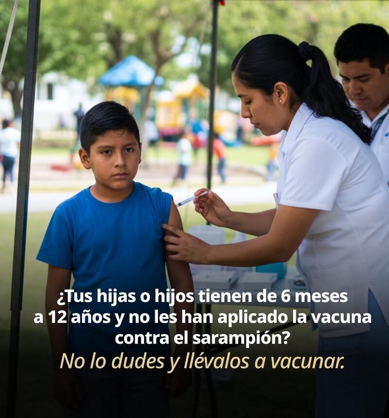 Borrador automático