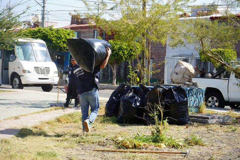 Borrador automático