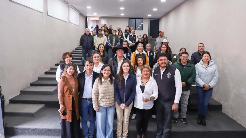 Borrador automático