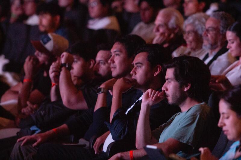 Borrador automático