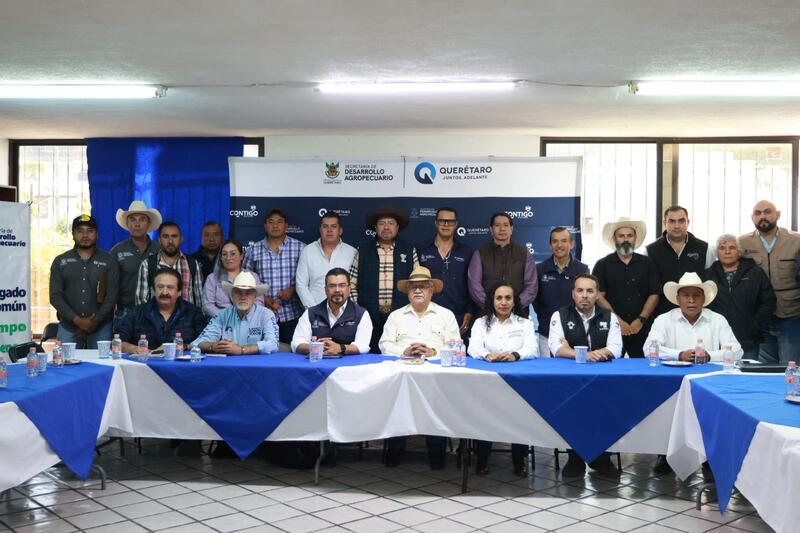 Querétaro coordina acciones para prevenir el gusano barrenador en el ganado Borrador automático