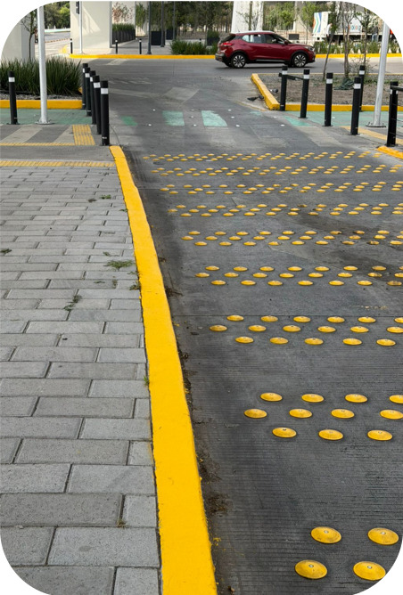 Borrador automático