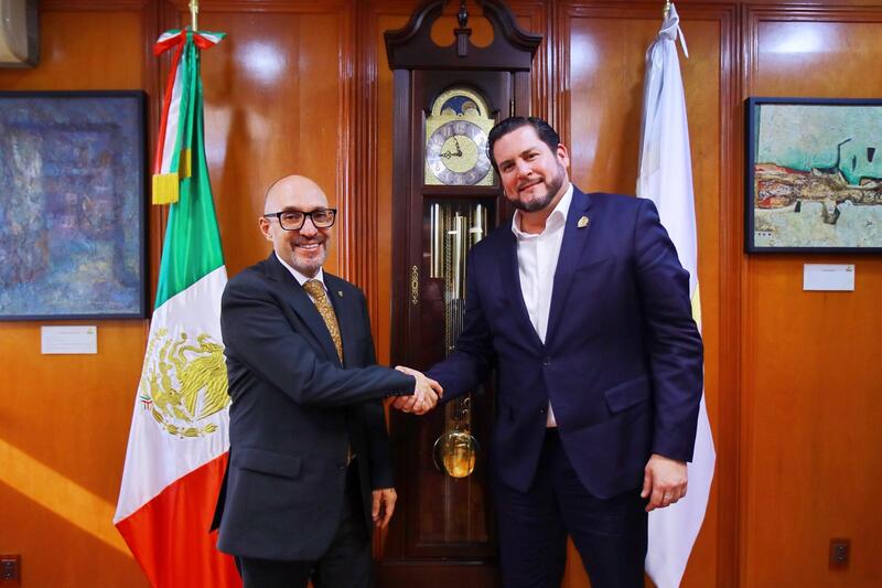 Borrador automático