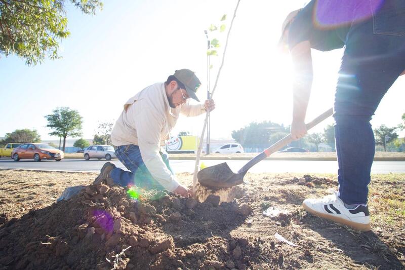 Arranca jornada de reforestación con siembra de 2 mil árboles en San Juan del Río