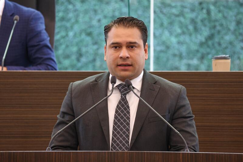 Borrador automático