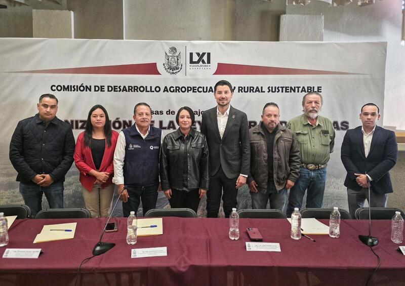 Borrador automático