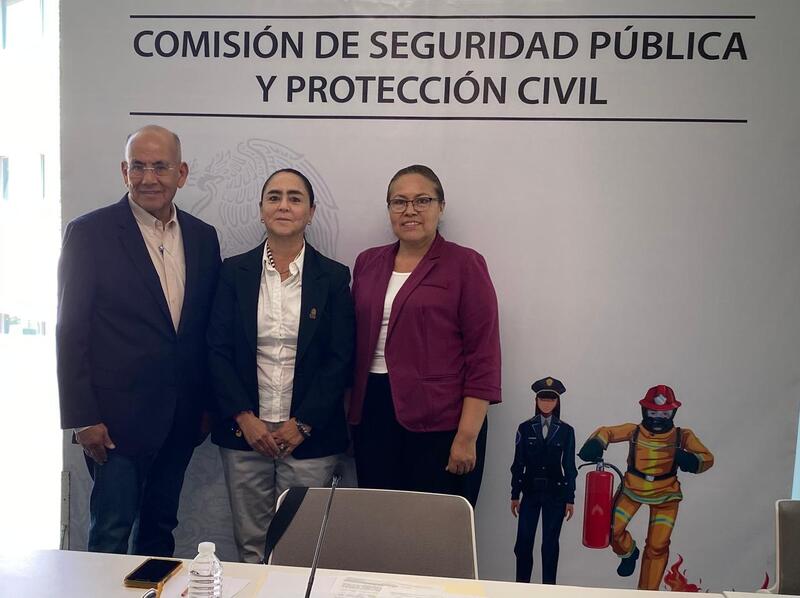 La Comisión de Seguridad Pública y Protección Civil aprobó exhorto para que autoridades de los tres niveles realicen las acciones necesarias para el control de incendios La Comisión de Seguridad Pública y Protección Civil aprobó exhorto para que autoridades de los tres niveles realicen las acciones necesarias para el control de incendios