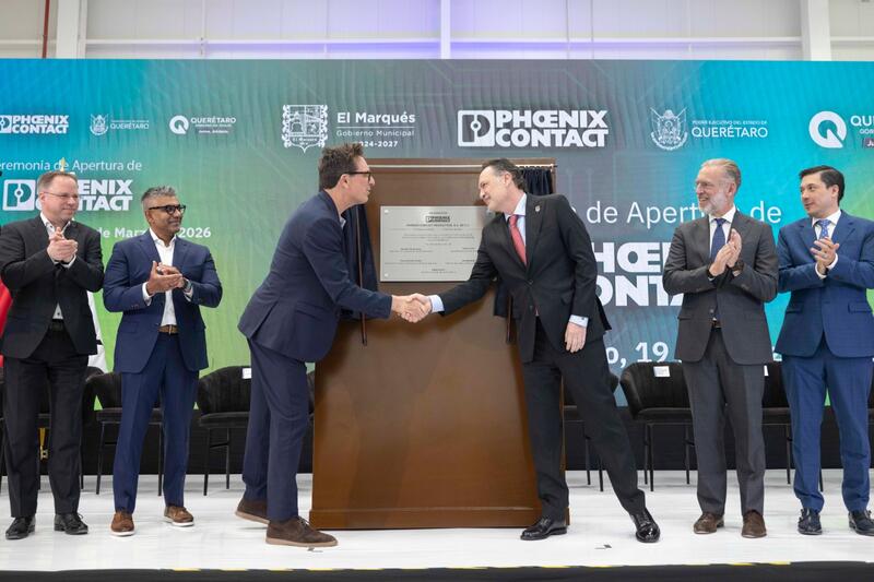 Borrador automático