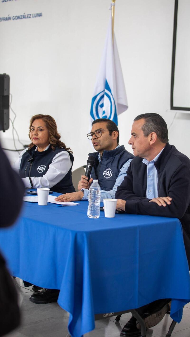 Borrador automático