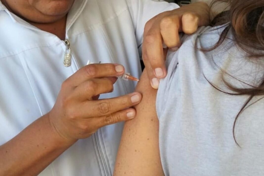 Avanza vacunación contra influenza en Querétaro y refuerzan vigilancia epidemiológica