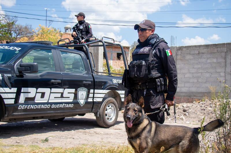 Borrador automático