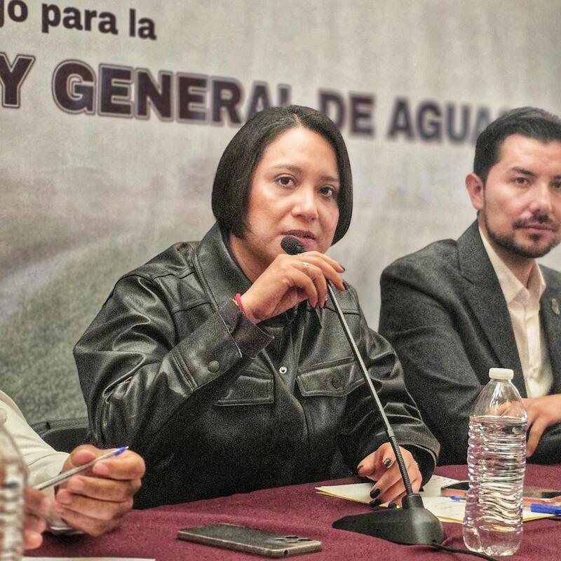 Borrador automático