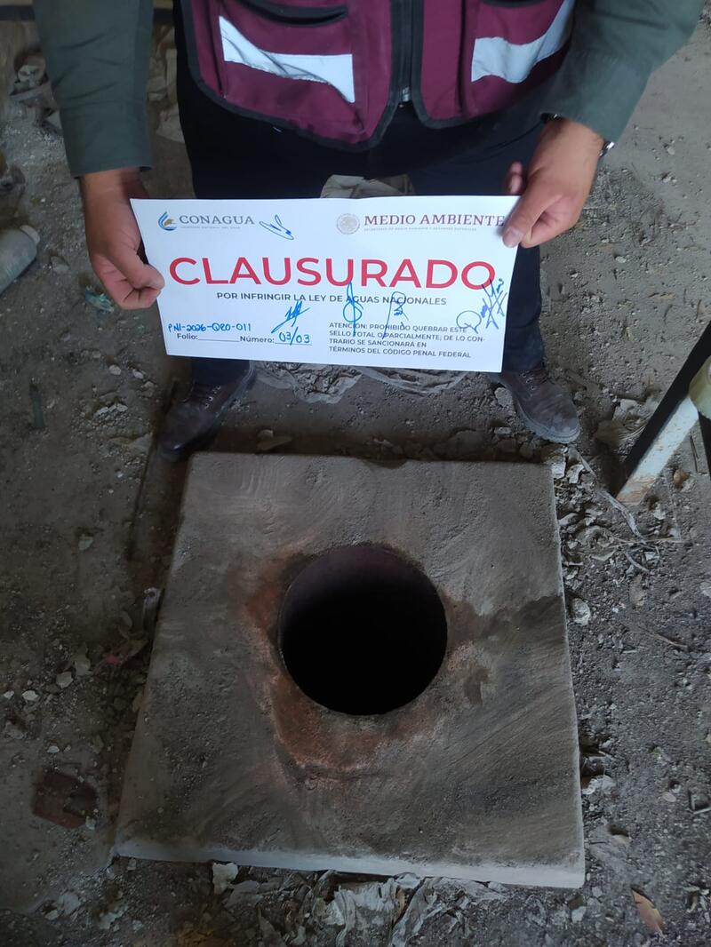 Borrador automático