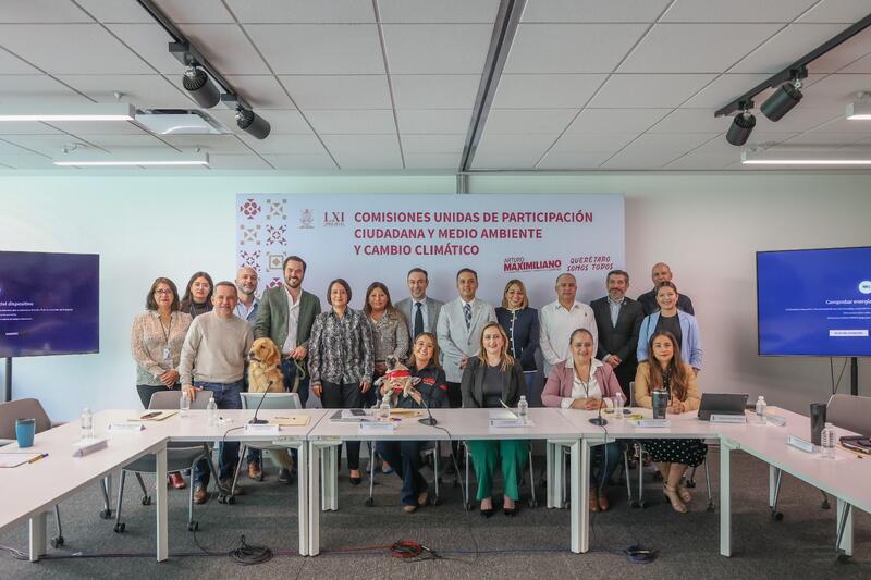 Presentan en Querétaro preproyecto de Ley de Bienestar Animal; buscan fortalecer protección y erradicar el maltrato