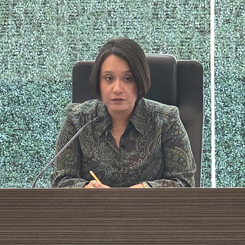 Borrador automático