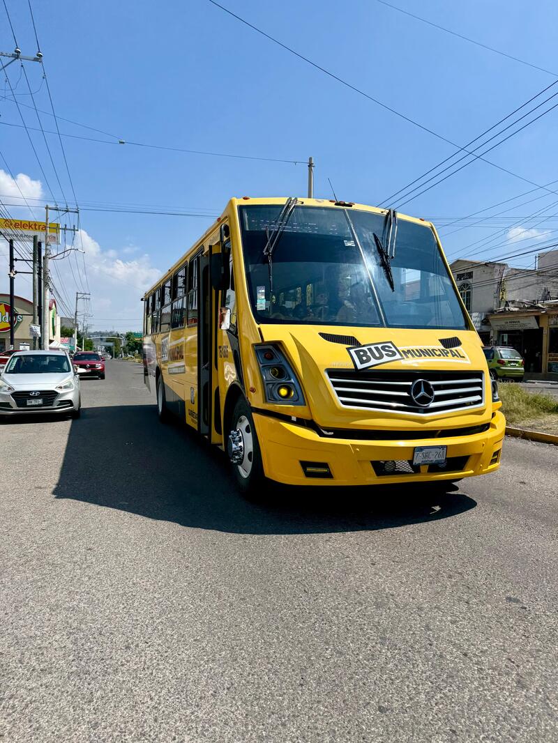 Borrador automático