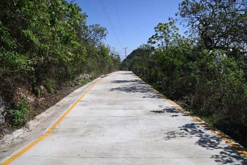Borrador automático