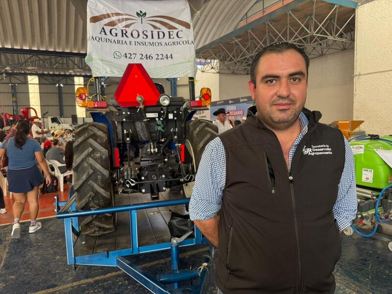 Borrador automático