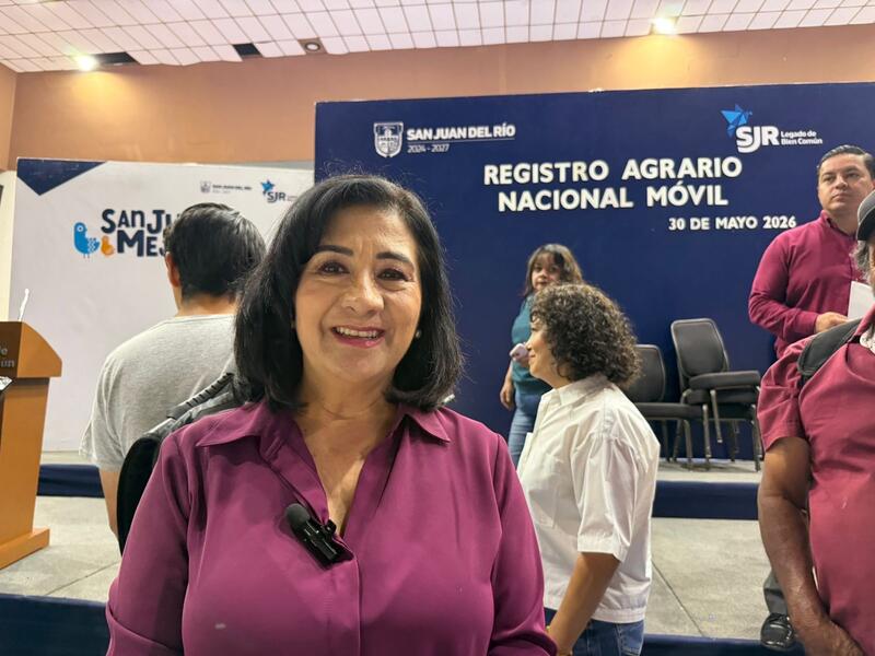 Borrador automático