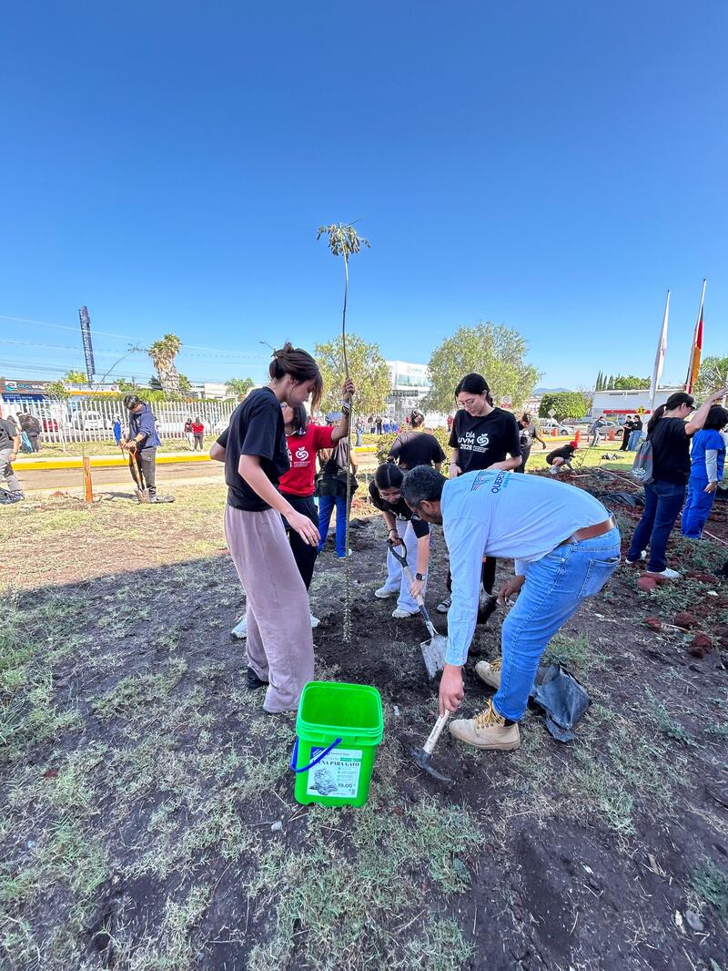 Invita Felifer Macías a participar en las Jornadas de Reforestación 2026 Borrador automático