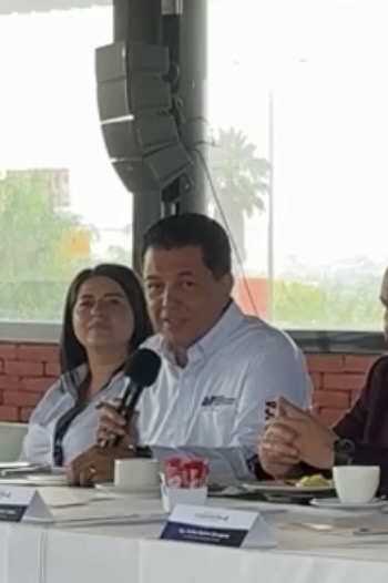 Borrador automático