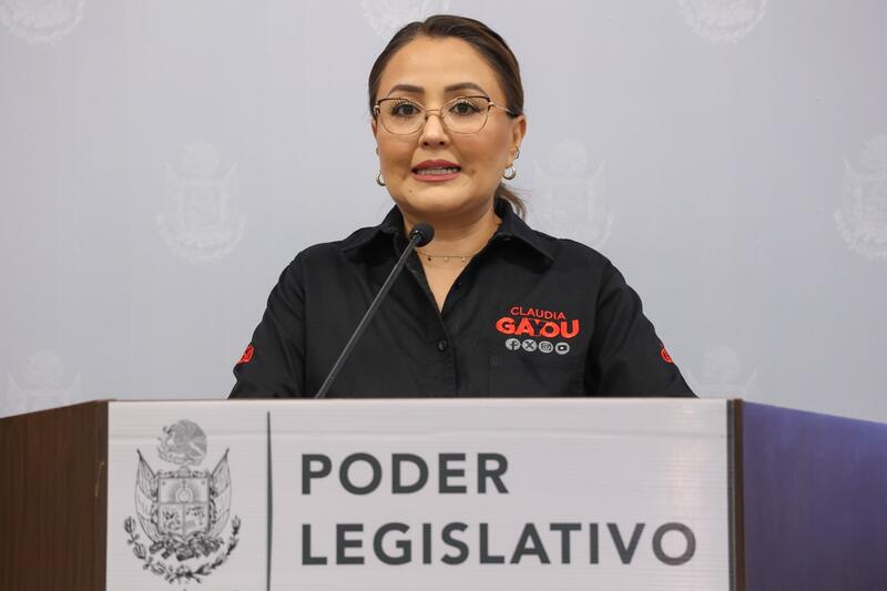 Diputada del PT impulsa cinco reformas electorales rumbo al proceso de 2027 en Querétaro Borrador automático