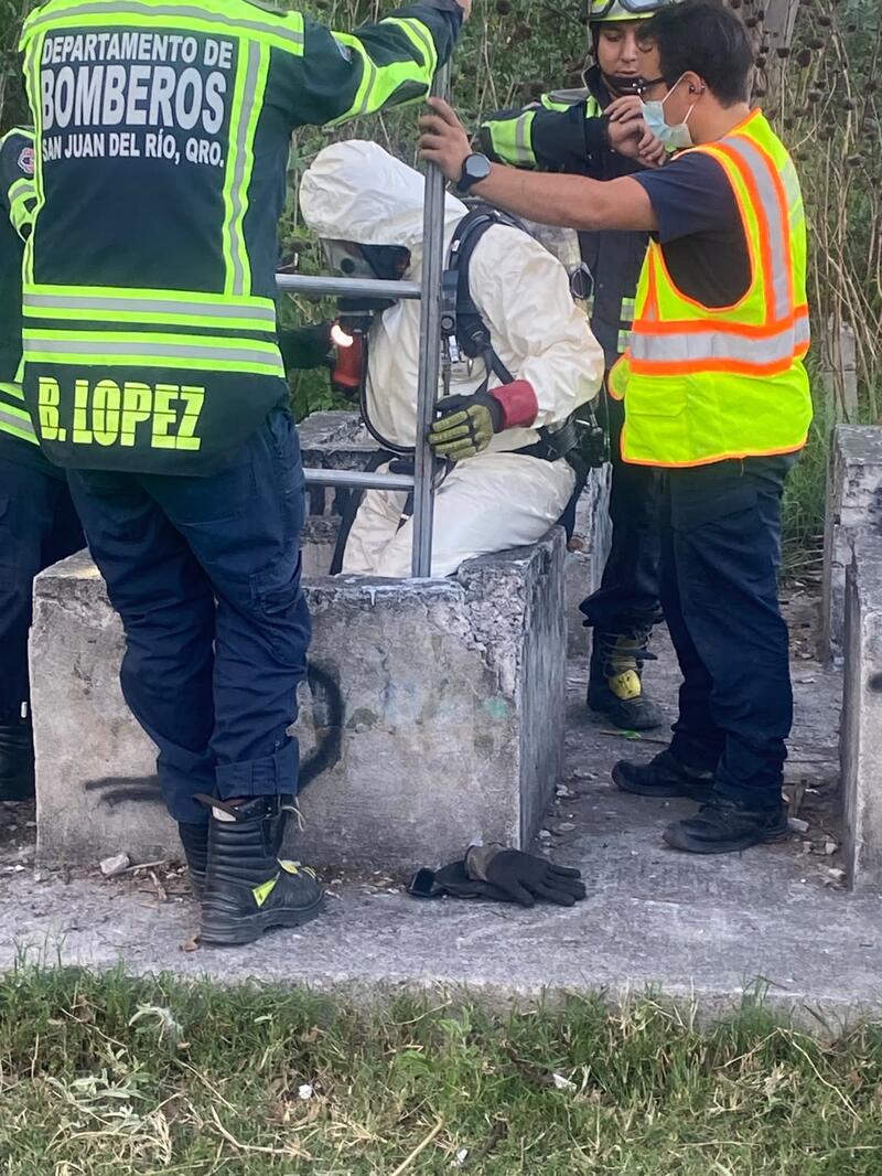 Borrador automático