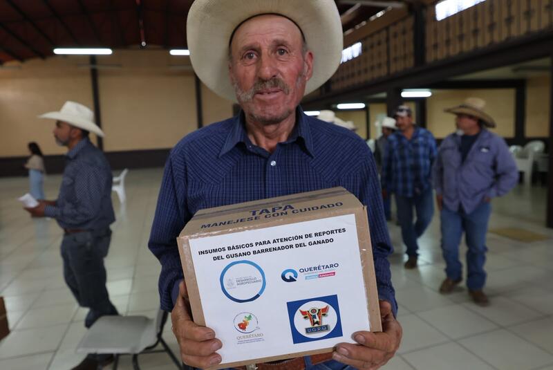SEDEA entrega kits para atender el gusano barrenador en San Juan del Río Borrador automático