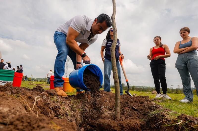 Felifer Macías encabeza jornada de reforestación por el Día Nacional del Árbol Borrador automático