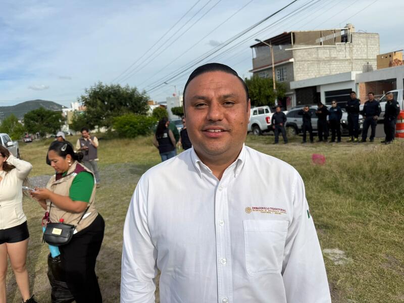Borrador automático
