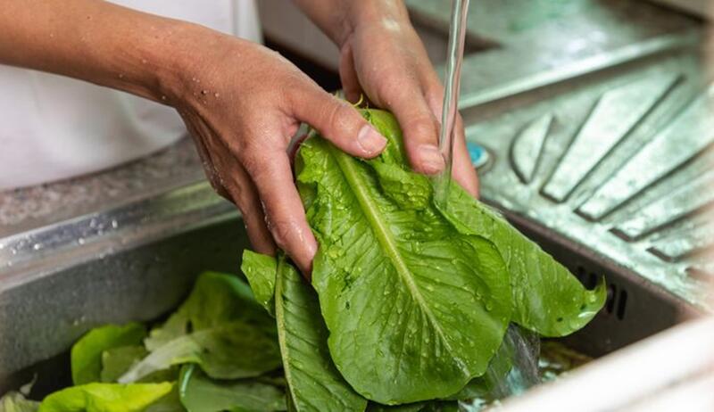 SESA refuerza medidas de higiene en la preparación de alimentos para prevenir enfermedades SESA refuerza medidas de higiene en la preparación de alimentos para prevenir enfermedades
