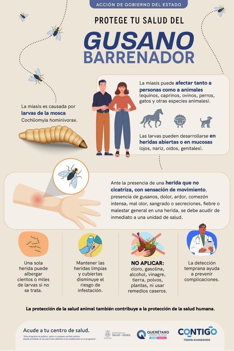 SESA mantiene vigilancia epidemiológica ante seis casos de miasis humana en Querétaro Borrador automático