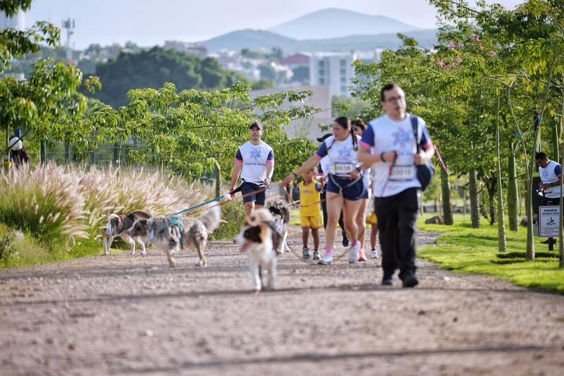 Querétaro incorpora tags de geolocalización para reforzar el cuidado de mascotas Borrador automático
