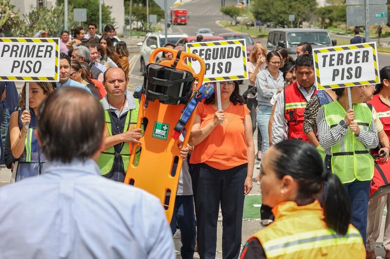 Borrador automático