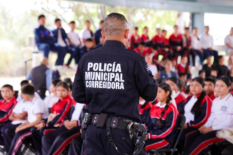 Borrador automático