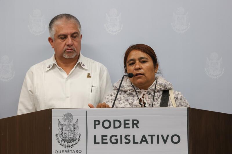 Borrador automático
