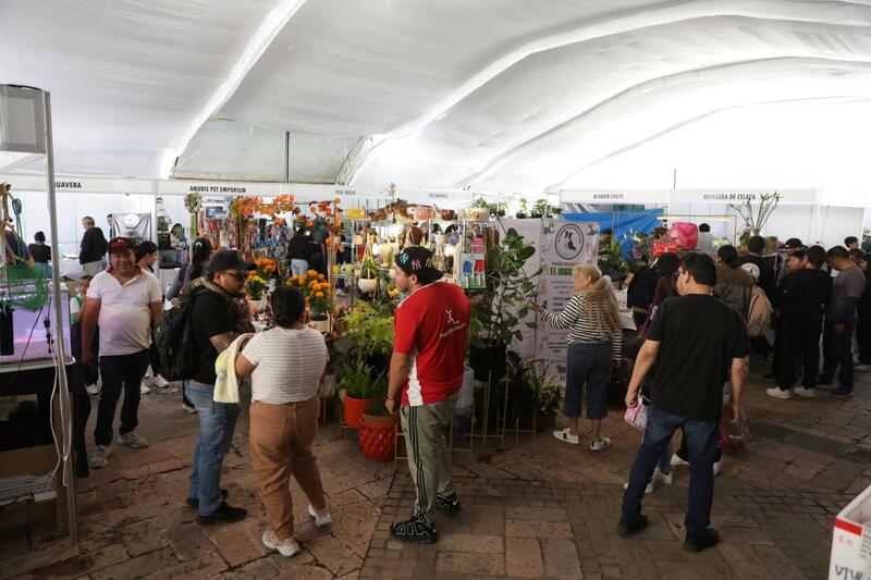 Expo Acuario San Juan del Río 2026 atrae a más de 25 mil visitantes y deja derrama de 2.5 mdp Borrador automático