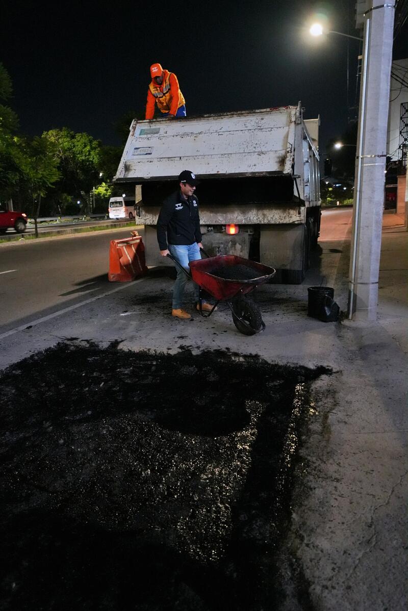Borrador automático