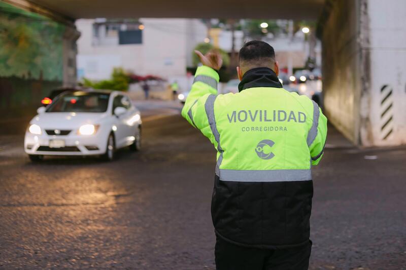 Borrador automático